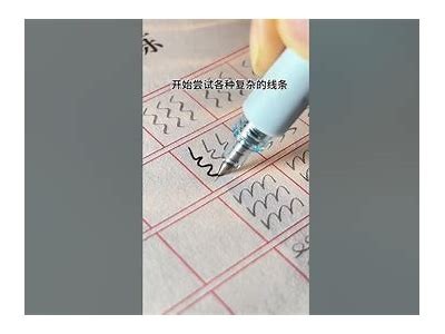 成人练字免费教学视频网站