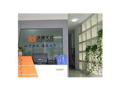 蜜桃成人视频免费在线观看