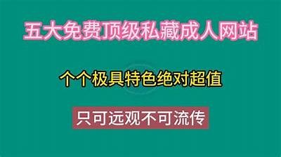 二人成人免费连接：快速搭建指南